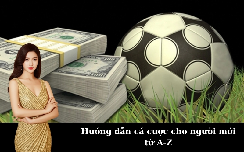 Hướng dẫn cá cược cho người mới từ A-Z