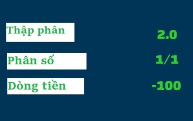 Cách đọc tỷ lệ payout của nhà cái quốc tế