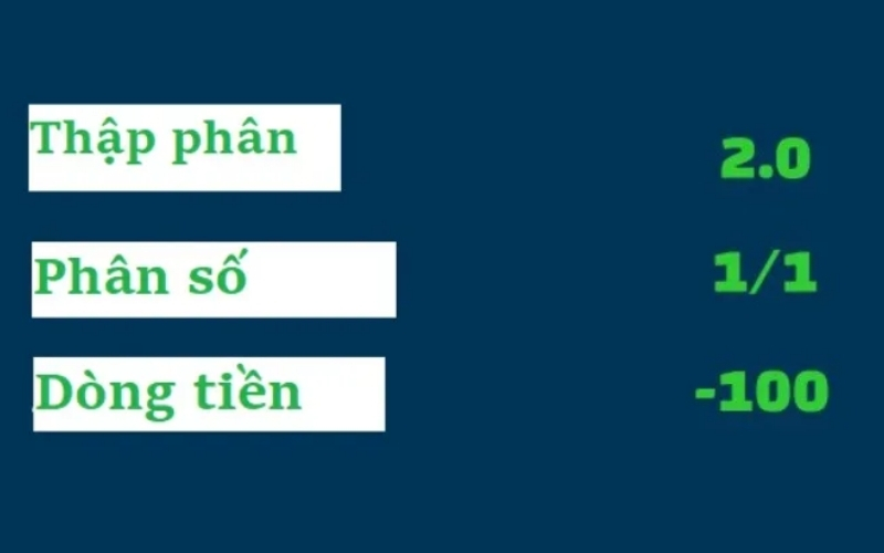 Cách đọc tỷ lệ payout của nhà cái quốc tế