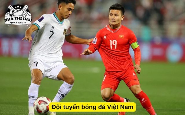 Đội tuyển bóng đá Việt Nam
