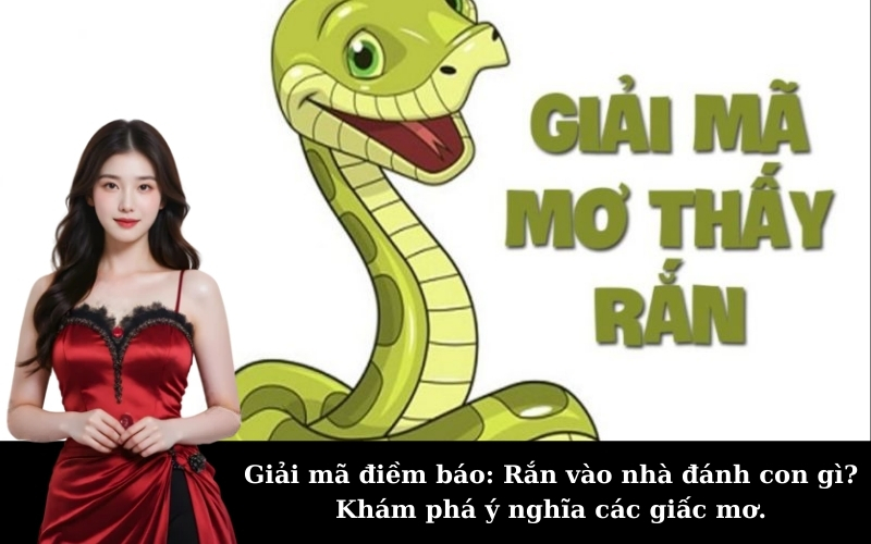Giải mã điềm báo: Rắn vào nhà đánh con gì? Khám phá ý nghĩa các giấc mơ.