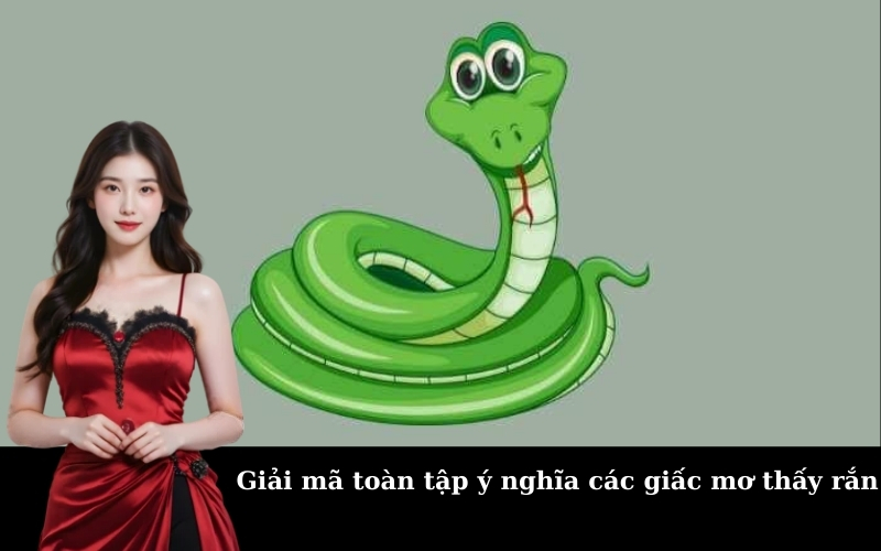 Giải mã toàn tập ý nghĩa các giấc mơ thấy rắn