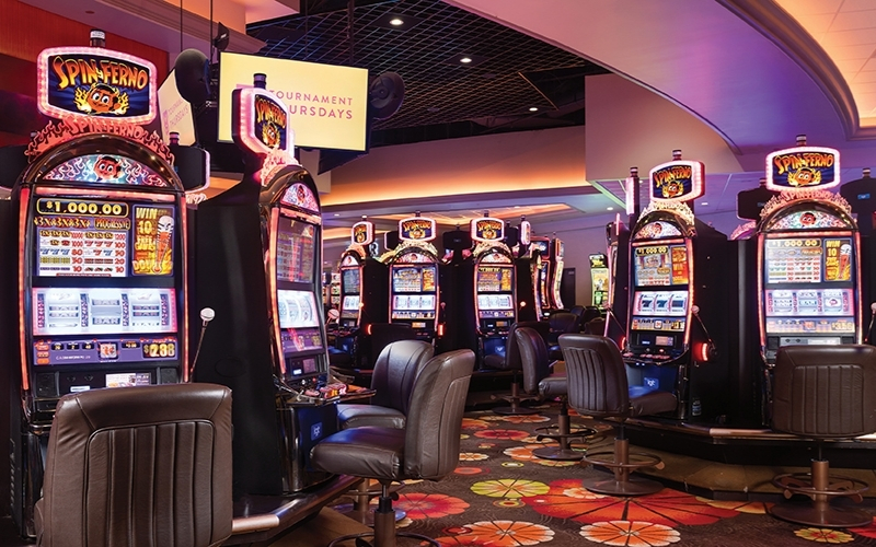 Harry Ogden và bước ngoặt của nghề nhà cái hiện đại